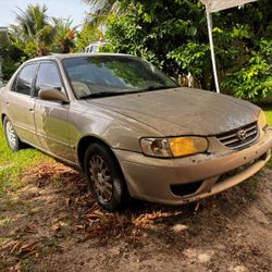 2001 Toyota Corolla