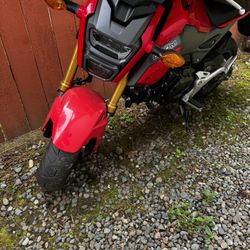 Honda Grom 