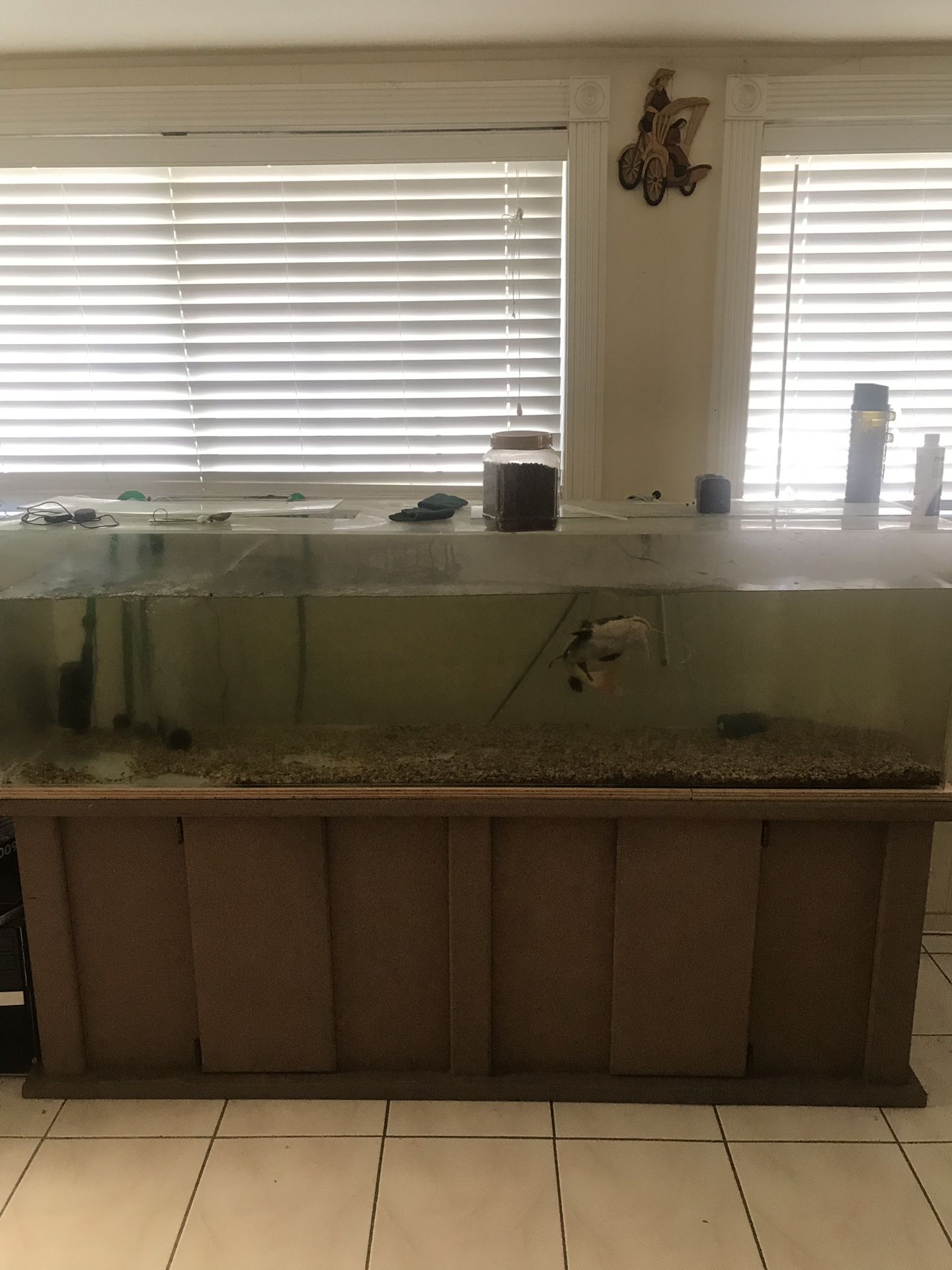 Acrylic Fish Tank -125 Gallons + Stand