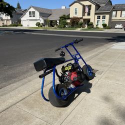 GTS roller  224cc predator  WILLING TO TRADE 