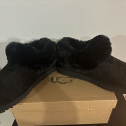 Black Uggs 
