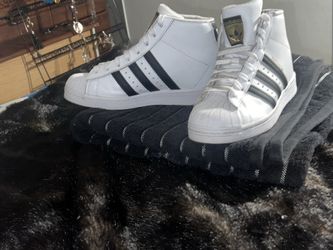 Adidas superstar hi top shoes