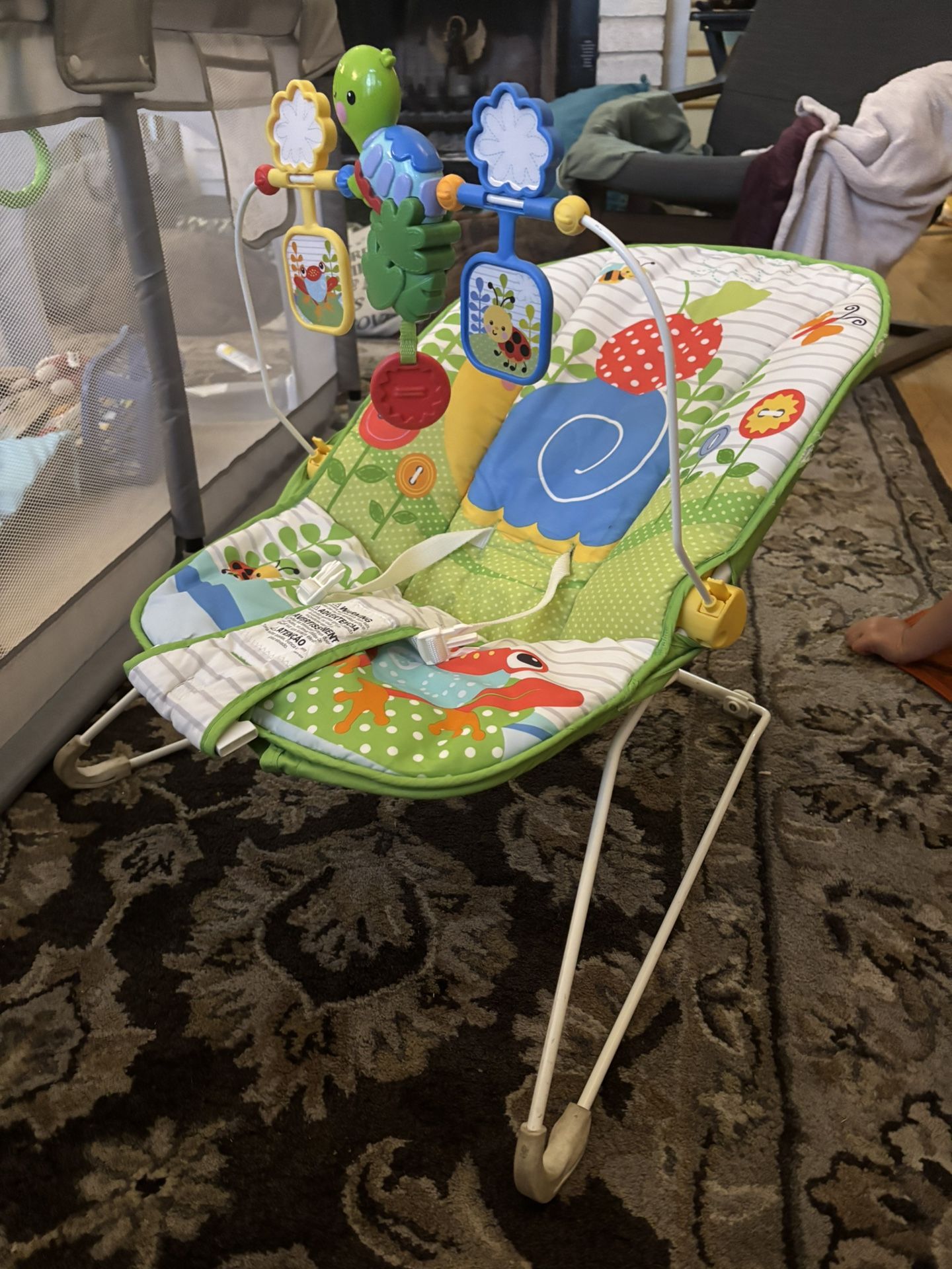 Baby Bouncer