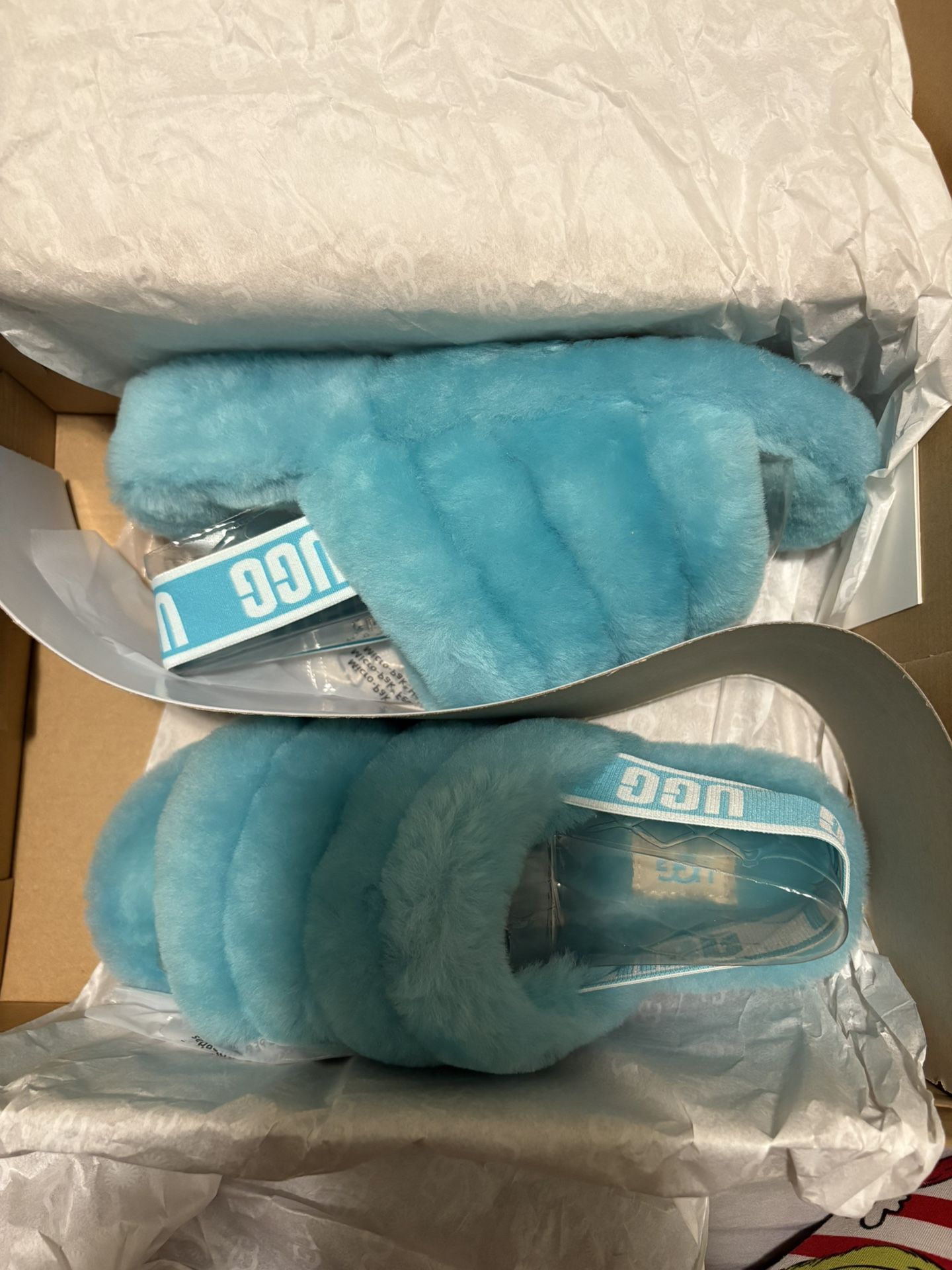 Blue Ugg Slippers 