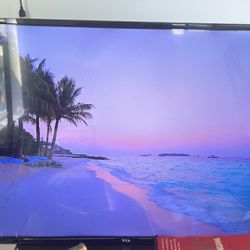 TCL 53 inch Roku TV (smart tv w/ remote)