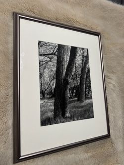 Framed Black and White Forest Photography Print