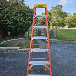 Werner 6ft Ladder