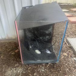 8 gallons neon fishtank