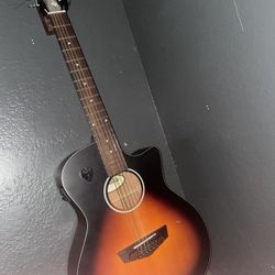 Dangelico 12 String