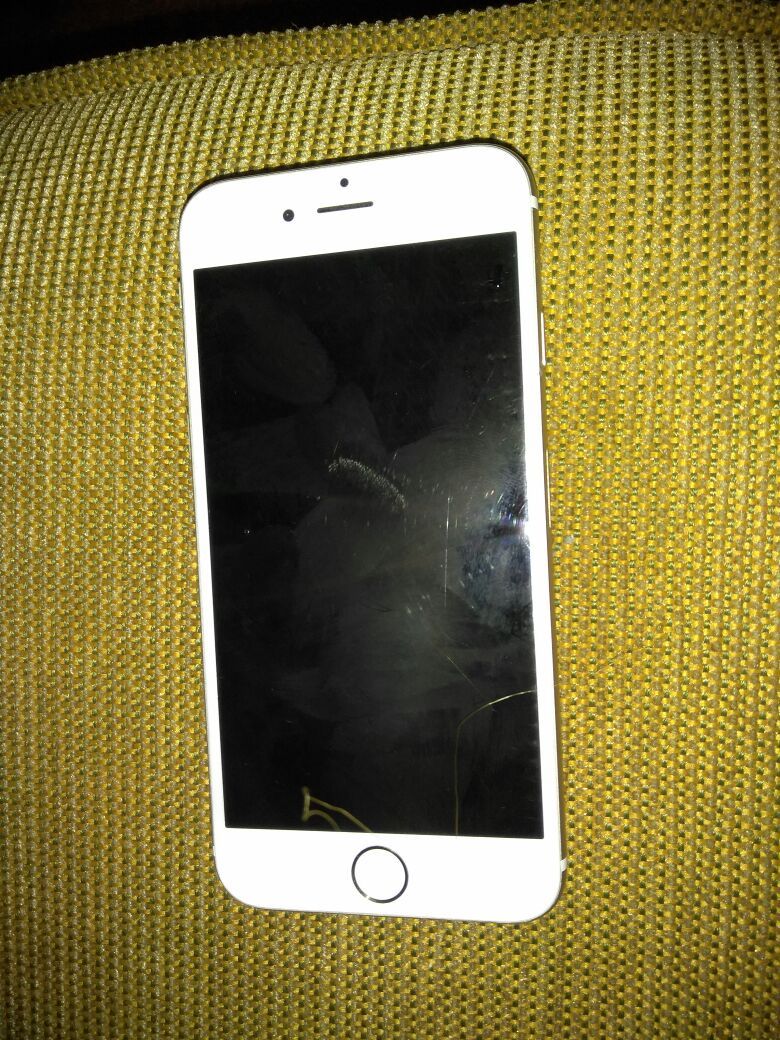 iPhone 6 (Gold)