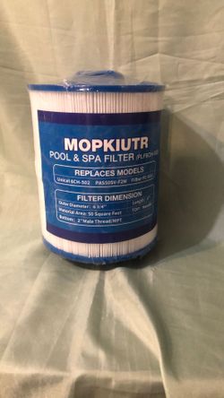 Pool And Spa Filter