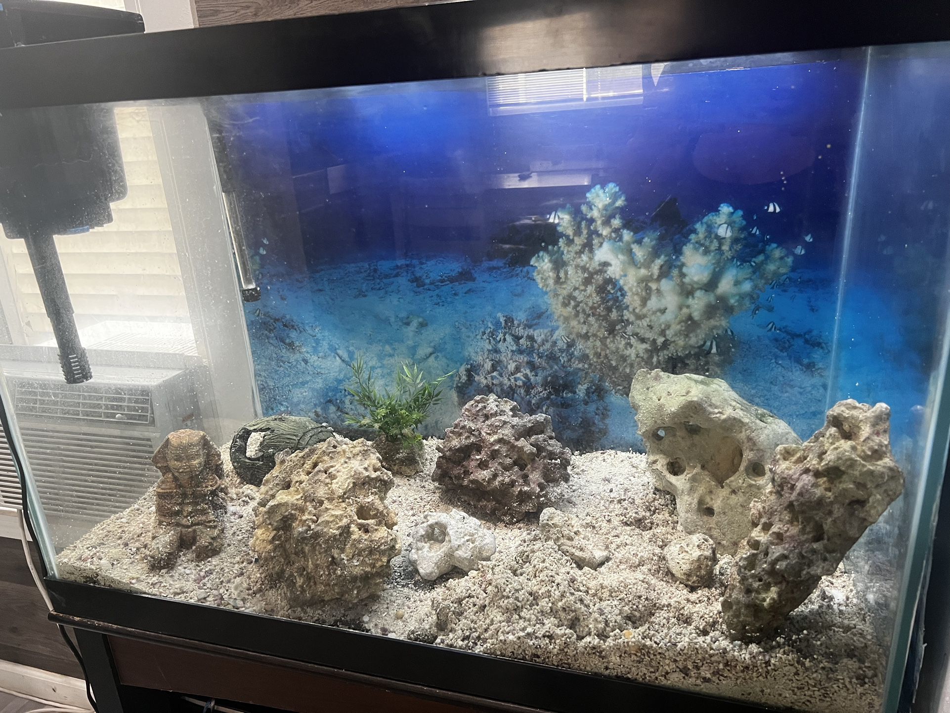65 Gallon Fish Tank With Furniture And Live Sea Rocks