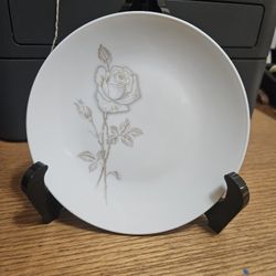 Classic Rose Pattern Rosenthal Set Of 12 Dessert Plate Vintage Mint