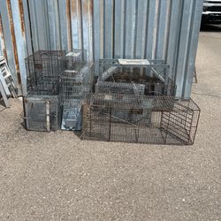 Animal Traps 
