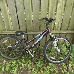 Schwinn