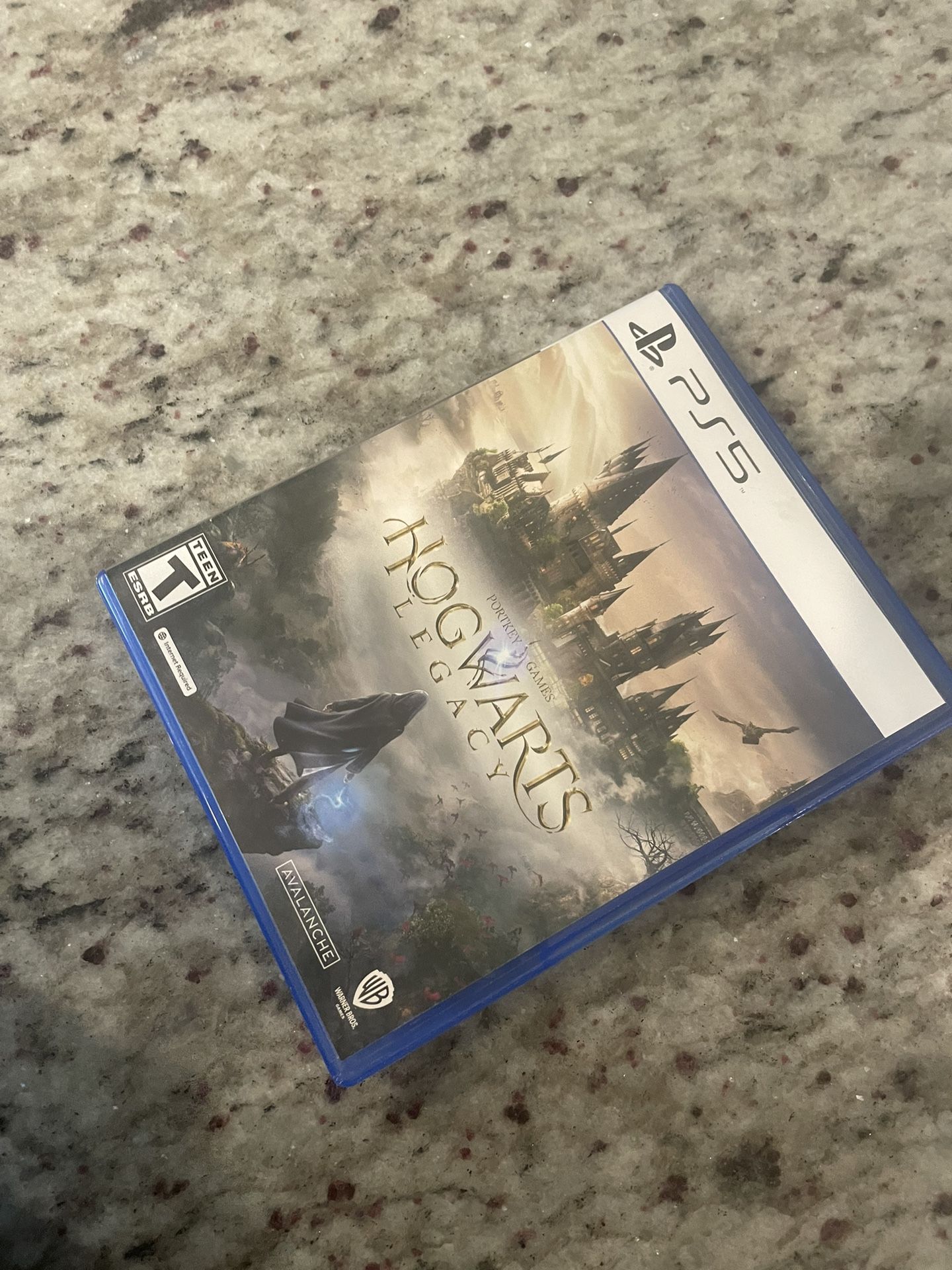 Hogwarts Legacy Ps5