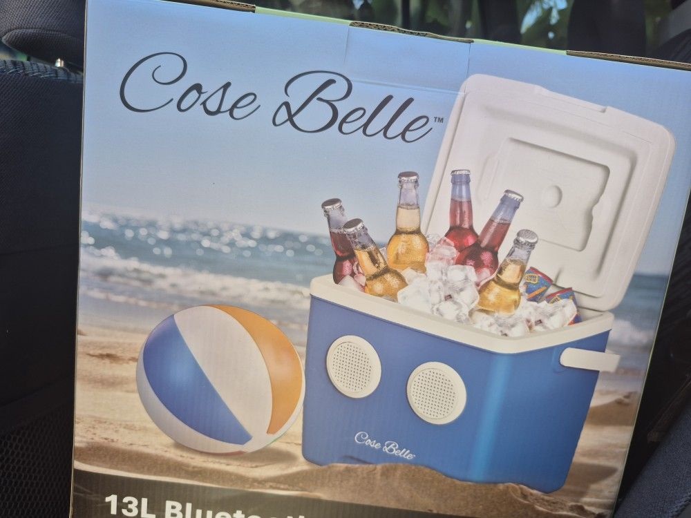 Bluetooth Speaker Cooler