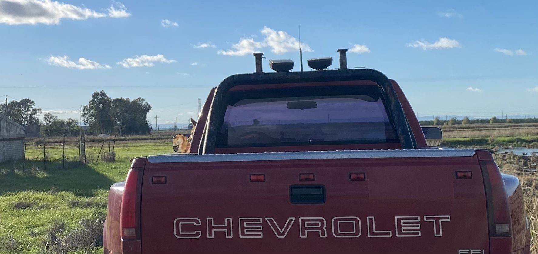 Roll Bar/ Headache Rack OBS Chevy