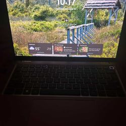 Dell Laptop 