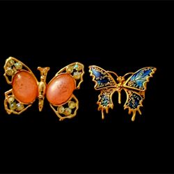 Set of 2 Butterfly Brooch