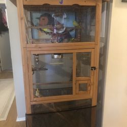 Large Bird Cage With 6 Parakeets 