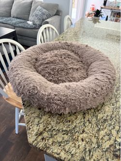 dog bed