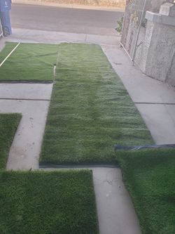 Artificial Grass 