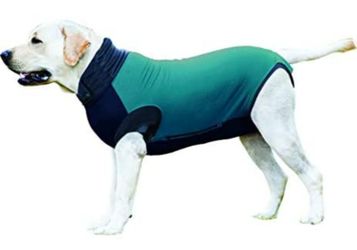Maxx Dog Body Recovery Suit