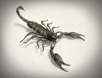 Scorpion Flexible Real Detail Casting 5 1/2” X 3”