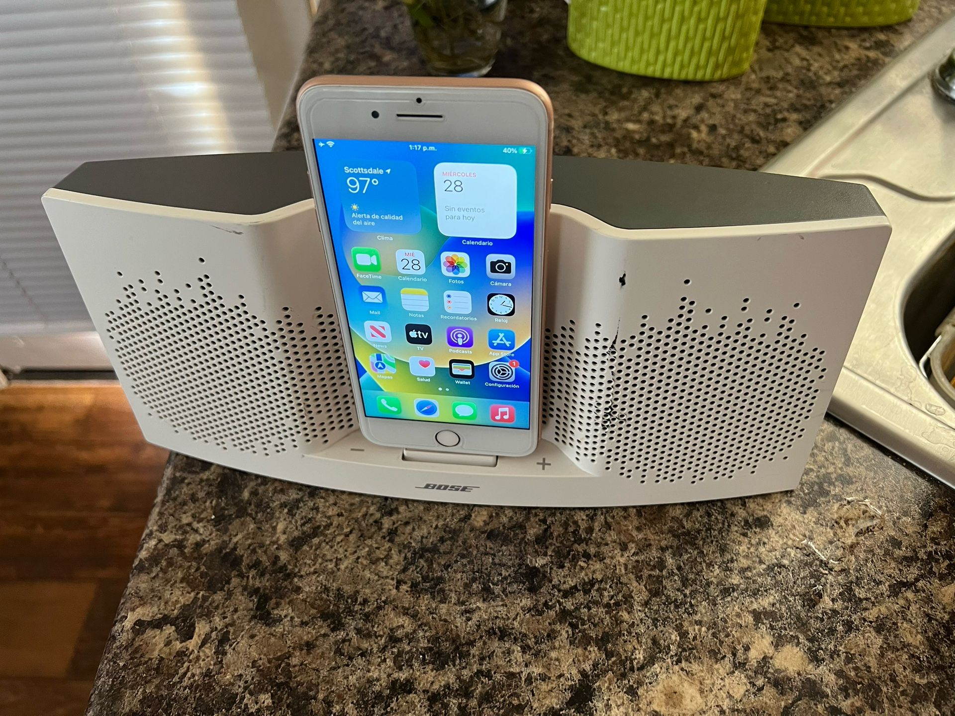 Bose Speaker