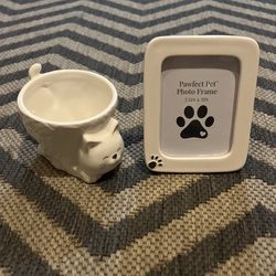 Kitty Cat Small Planter For Succulents And Frame