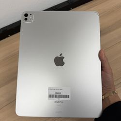 iPad Pro 13” M4 256GB Wifi 