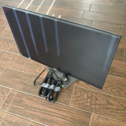 DELL MONITOR 