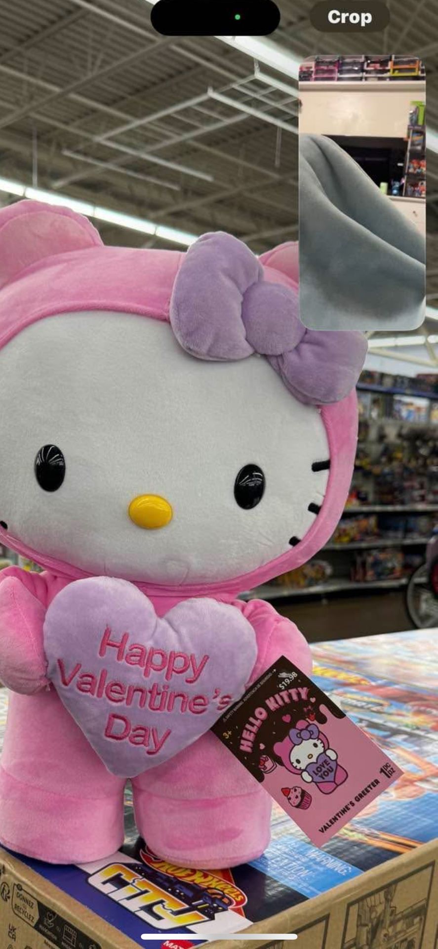 Valentines Hello Kitty Plushie