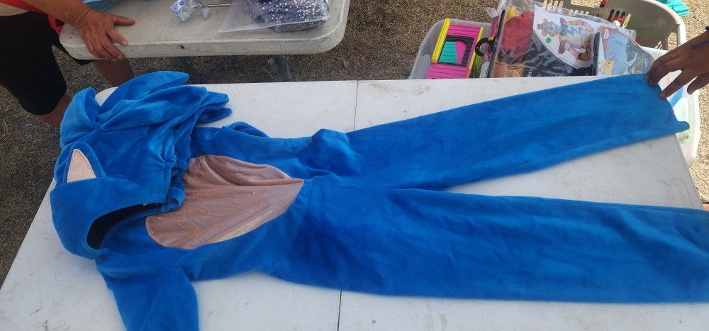 Sonic Costume