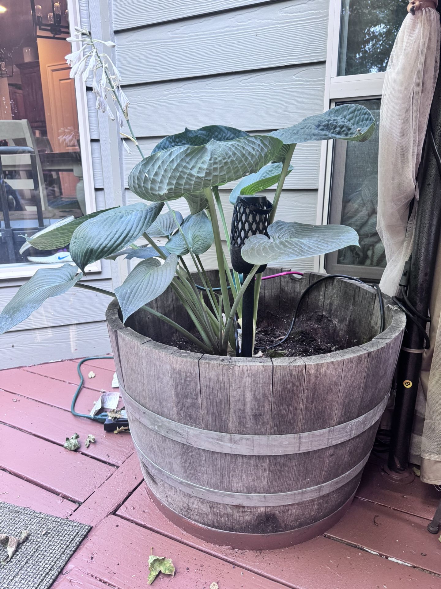 Half Wine Barrel Planters