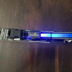 Light Up  Dog Color Blue Small