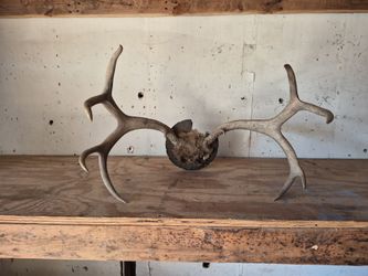 Antlers