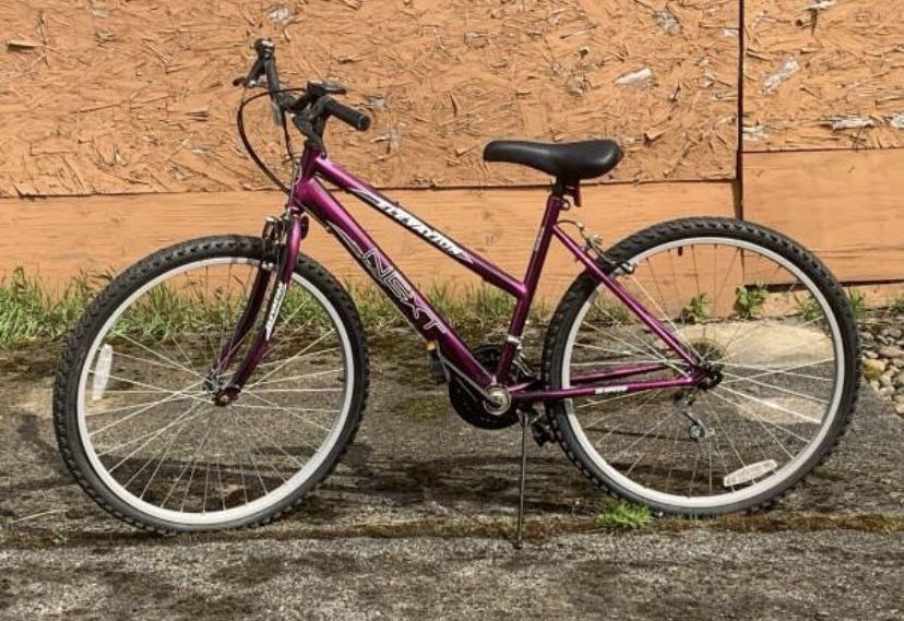 Next Elevation Mountain Bike (needs work)