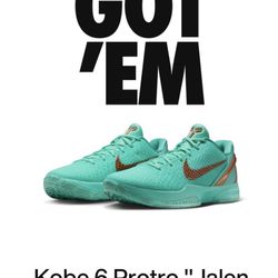 Kobe 6 Jalen Brunson