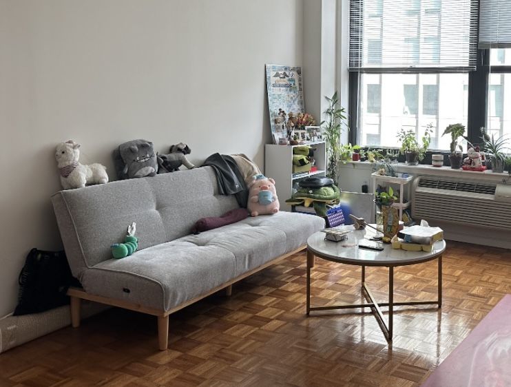 Futon Sofa