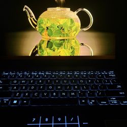 ASUS Zenbook 14X OLED Laptop