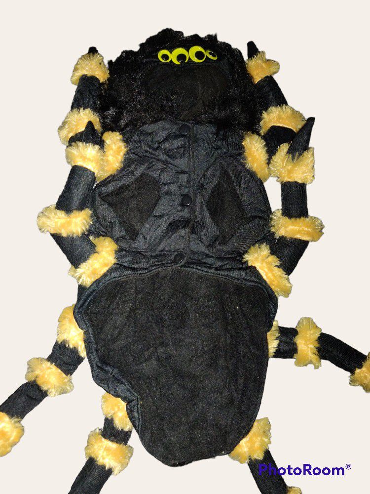 Small to medium size dog bee costume