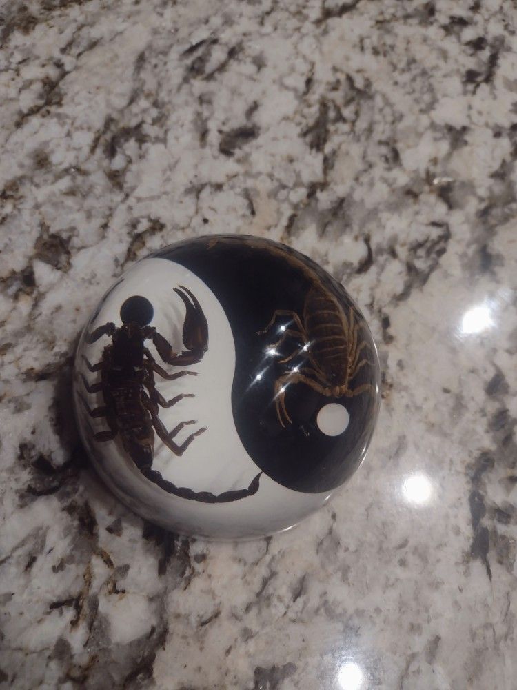 Scorpion Yin Yang Paperweight