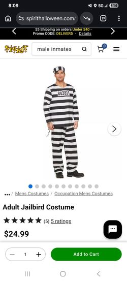 Adult Jailbird Halloween Costume