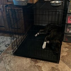 Dog Kennel XL Dog Not included