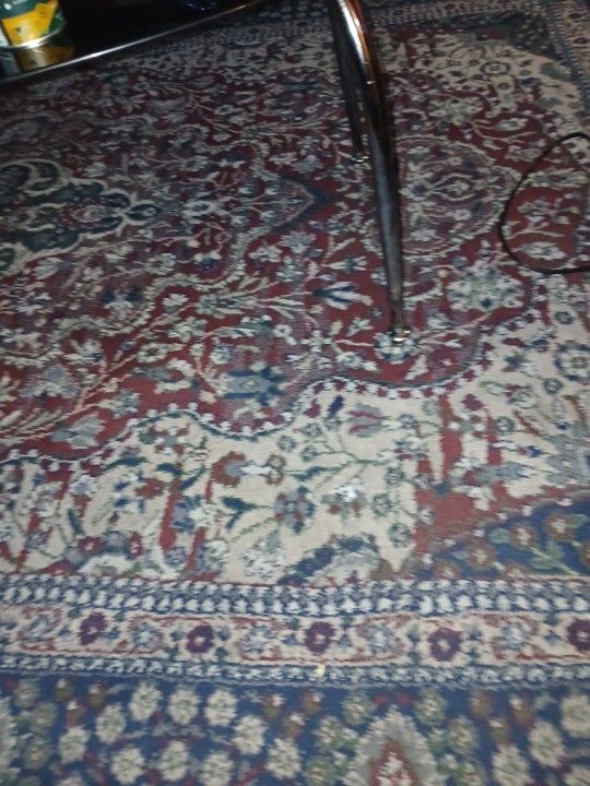 Living room oriental rug