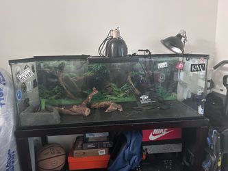 Large Reptile Terrarium with Stand and Zoo Med Lighting 75 gallon tank