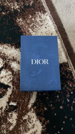 Dior B27 Kenny Scharf Blue Tigers Size 42