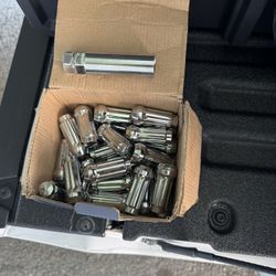 M14x1.5 Vista Wheel Lug Nuts